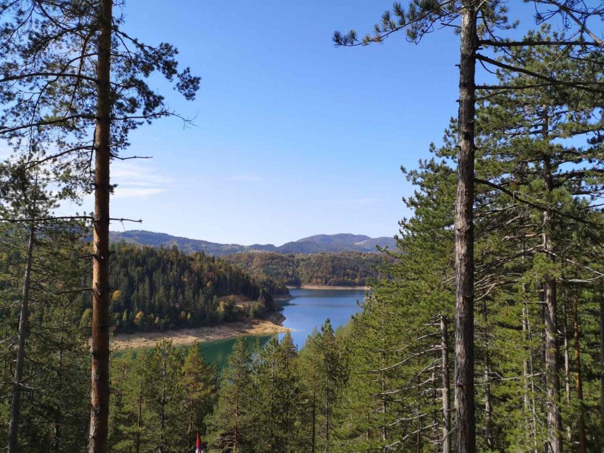 Laki Apartman Zaovine Buitenkant foto