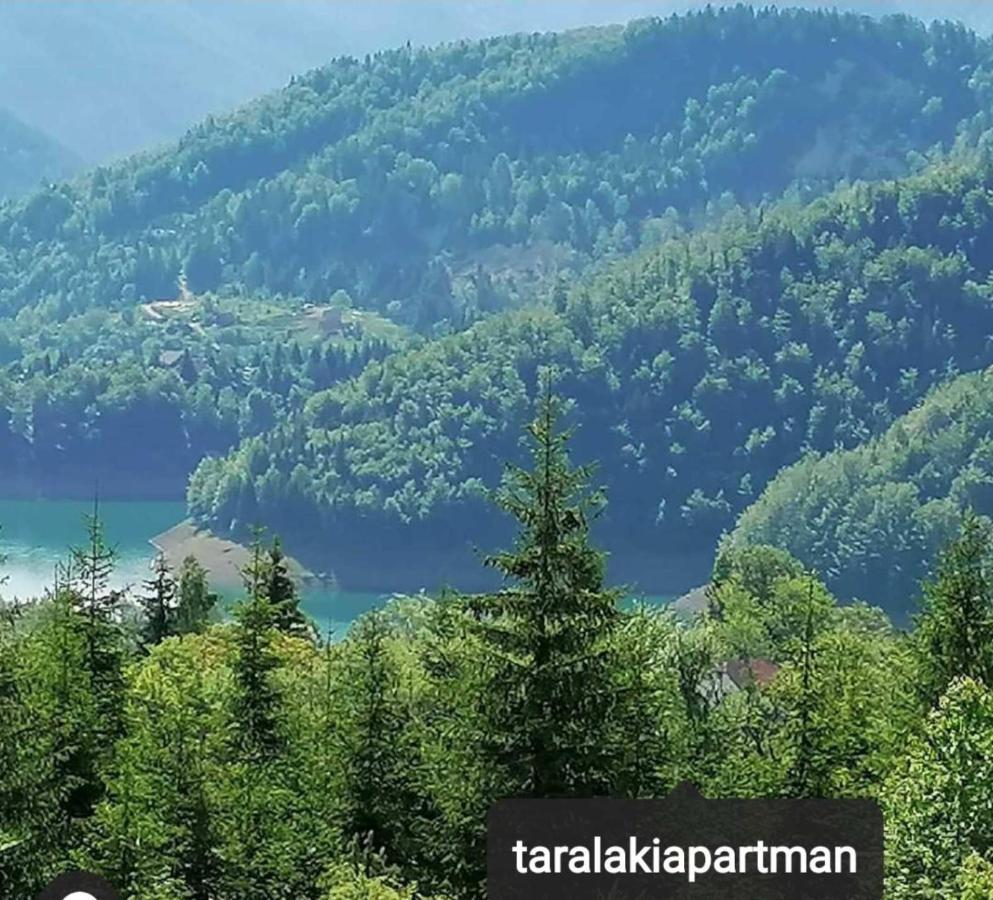 Laki Apartman Zaovine Buitenkant foto